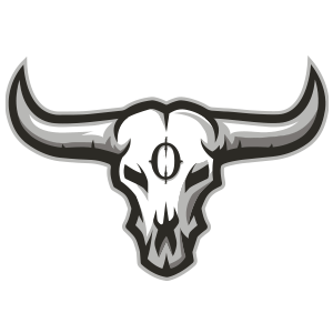Kansas City Outlaws